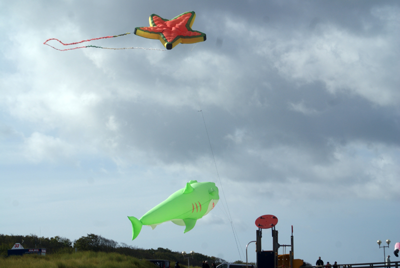 0062 vom Himmel schauten uns die Drachen zu.JPG - SONY DSC